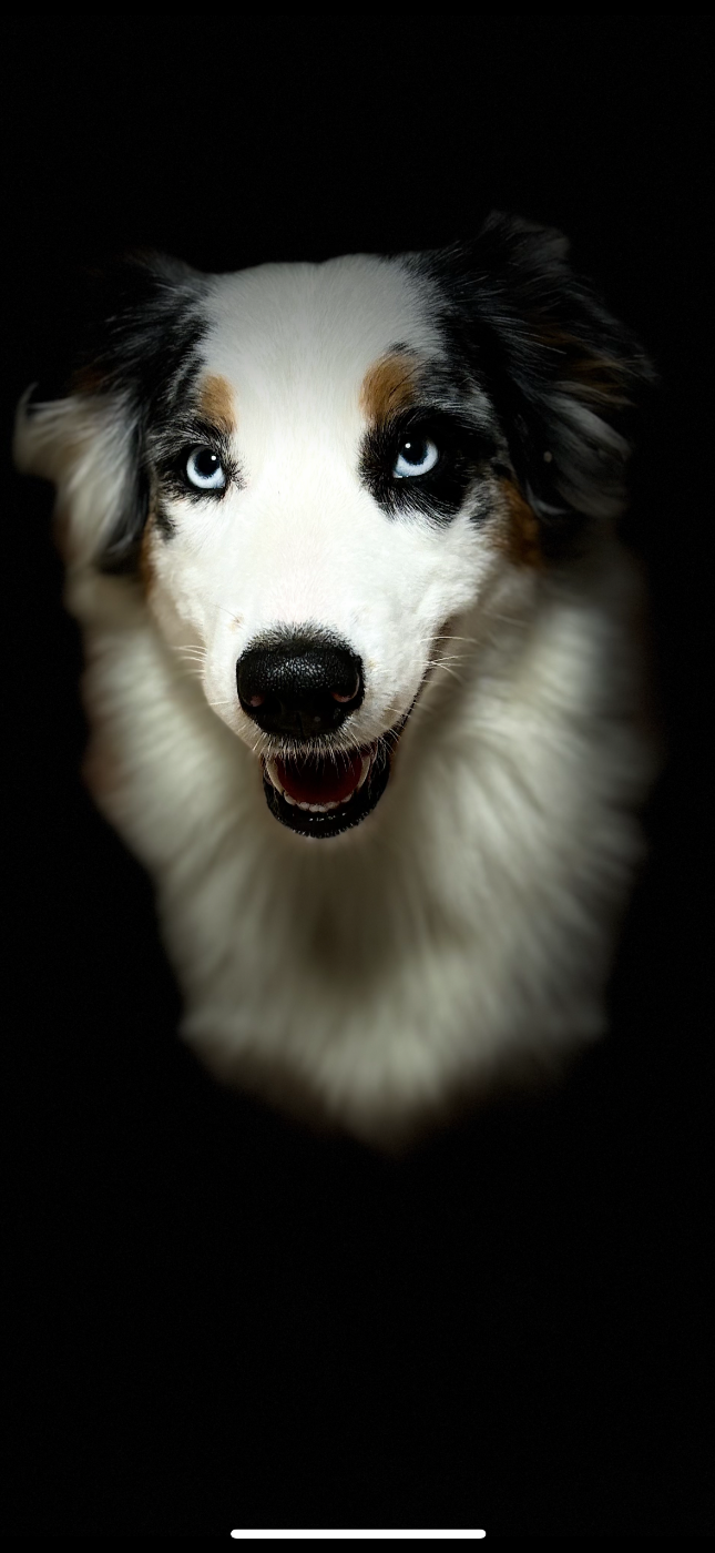 River golden lady de gens de garonne