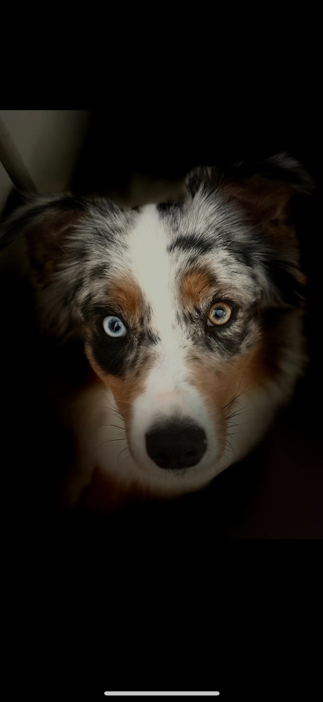 VIP Airéa River Land Stars